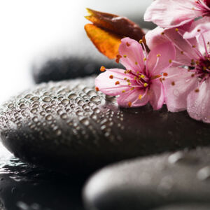 Hot Stone Massage